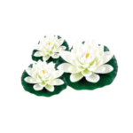 Aquapro White Floating Water Lilies 3 Pack | Pond & Water Feature Decor - Image 3