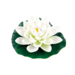 Aquapro White Floating Water Lilies 3 Pack | Pond & Water Feature Decor - Image 2