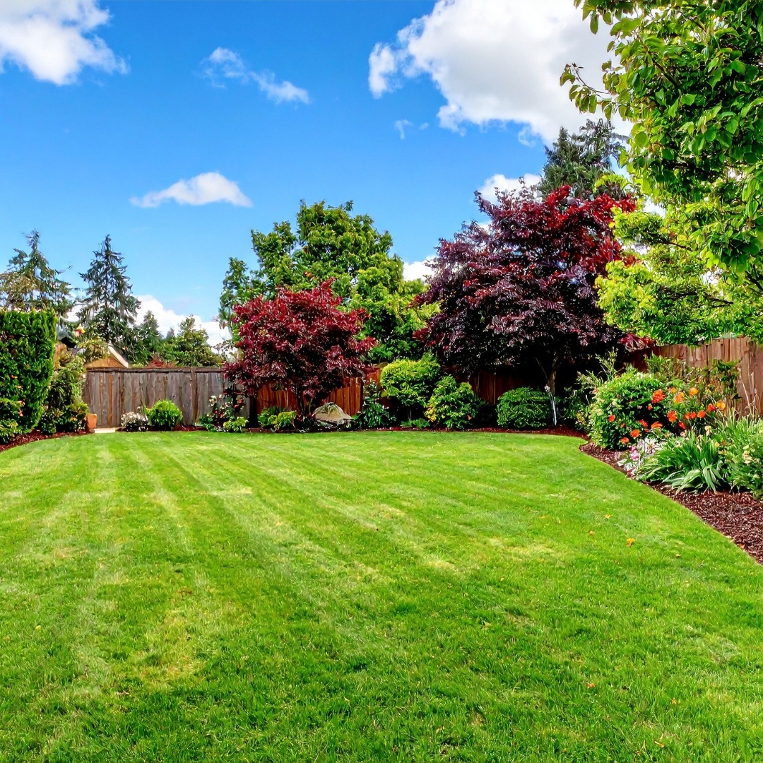 Home & Garden