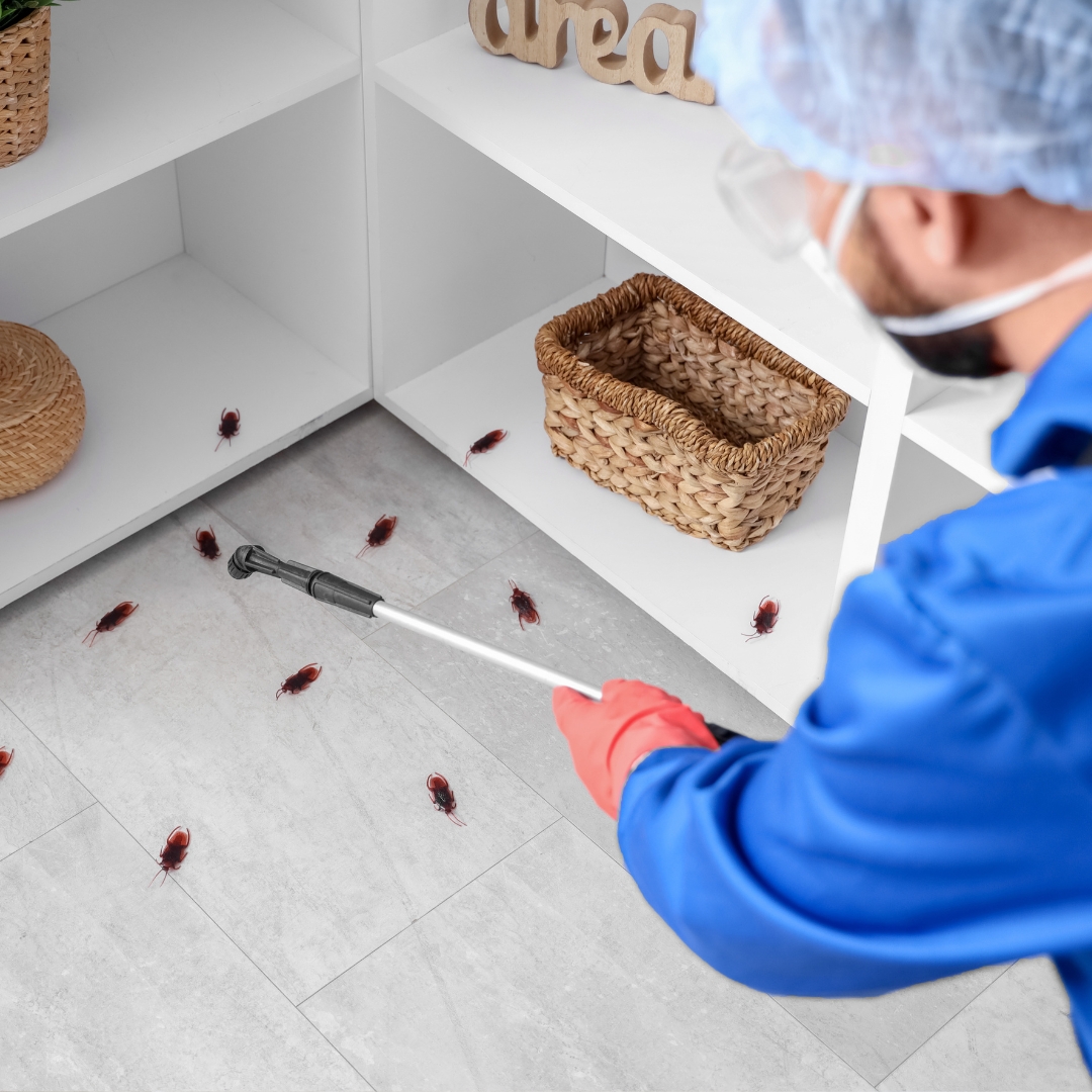 Pest Control