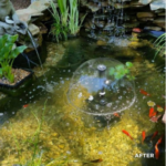 Aquapro 500ml Bionatural Sludge Away Pond Treatment | Treats 12500 Litres - Image 4