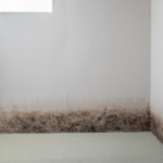 Concrobium Mould Cleaner Aerosol 400g Anti Mould Spray - Image 4