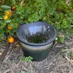 EnviroSafe Mosquito Larval Trap | Insecticide-Free Mosquito Larvae Trap with Booster Tablet Australia - Image 3