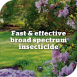 Yates Advanced Garden Insect Killer 50ml | Fast Pest Control - Image 5