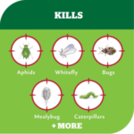 Yates Advanced Garden Insect Killer 50ml | Fast Pest Control - Image 6