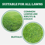 Yates Dynamic Lifter Lawn Food 700ml Click & Grow | Fast Feed - Image 6